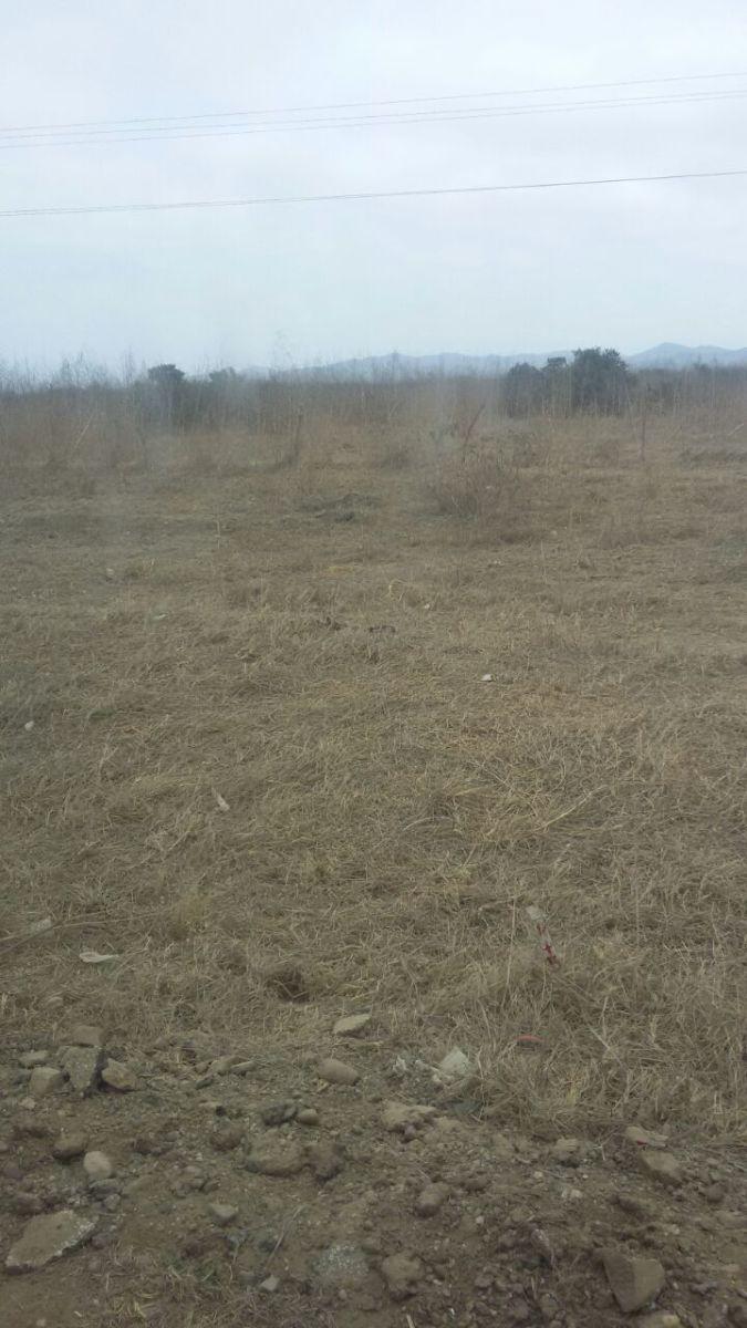 Terreno en Venta en Chanduy, Santa Elena — imagen 7