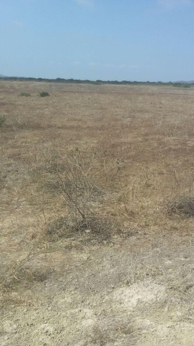 Terreno en Venta en Chanduy, Santa Elena — imagen 6