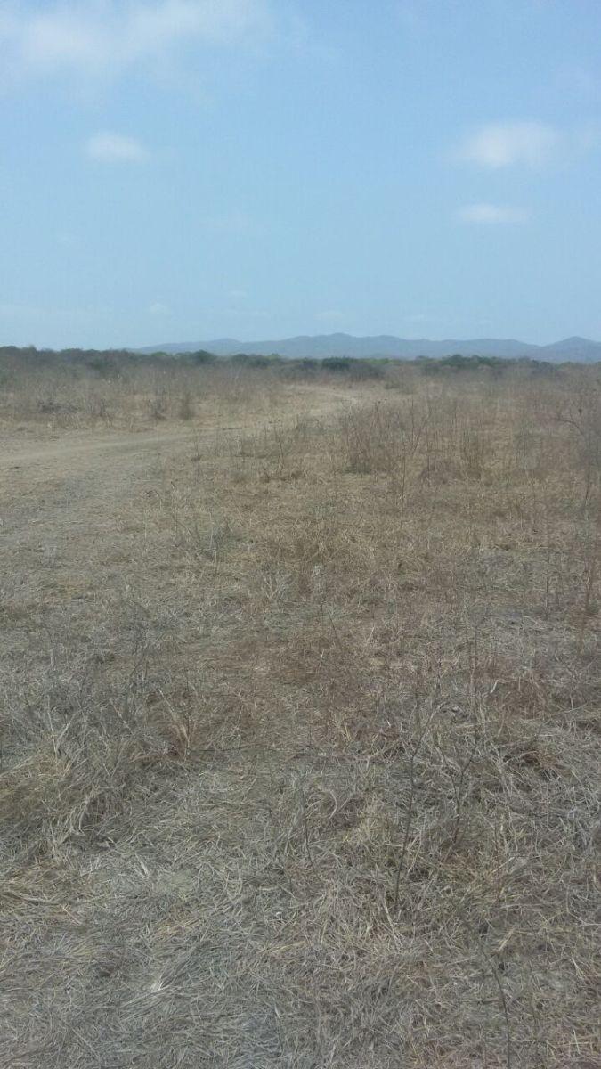 Terreno en Venta en Chanduy, Santa Elena — imagen 2