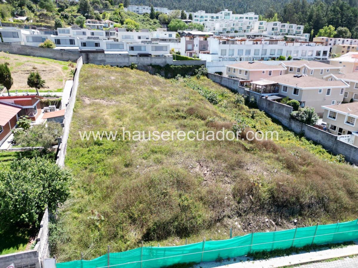 Terreno 2.492 m² en La Armenia, Sector Parque Metropolitano, Uso Residencial/comercial — imagen 6