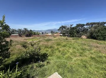 Puembo - Via Arrayanes 2928 m² Terreno Independiente en Renta con Casa — imagen 3