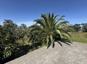 Puembo - Via Arrayanes 2928 m² Terreno Independiente en Renta con Casa — imagen 2