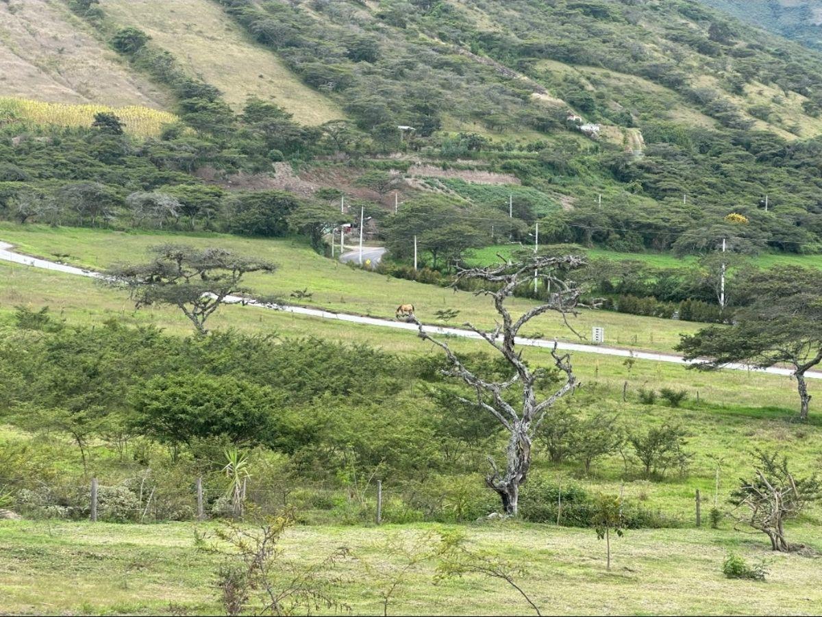 Terreno de 2000 m² en Venta, Chachimbiro, Imbabura — imagen 6
