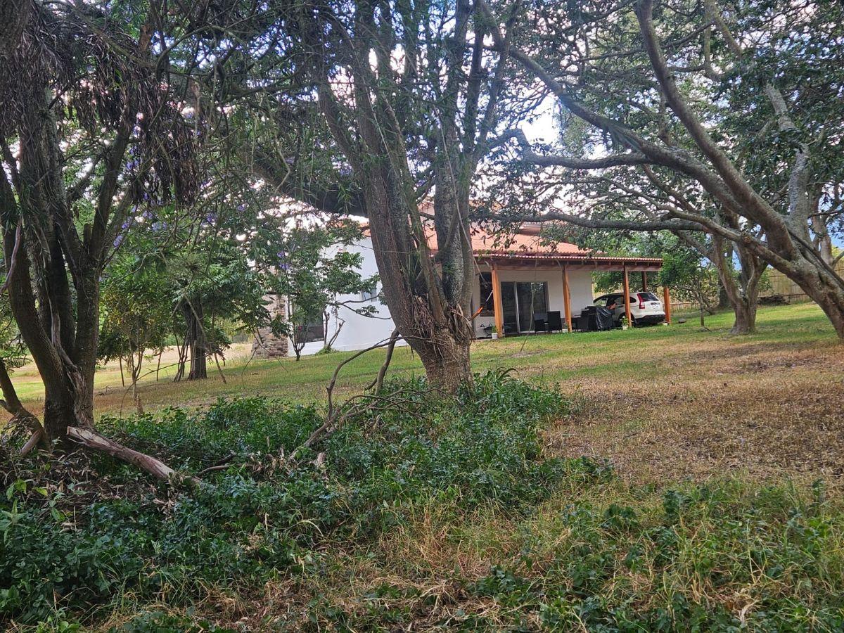 Venta Hermoso Terreno con Pequeña Casa en Yaruqui. con Pequeño Sembrio de Arándanos — imagen 10