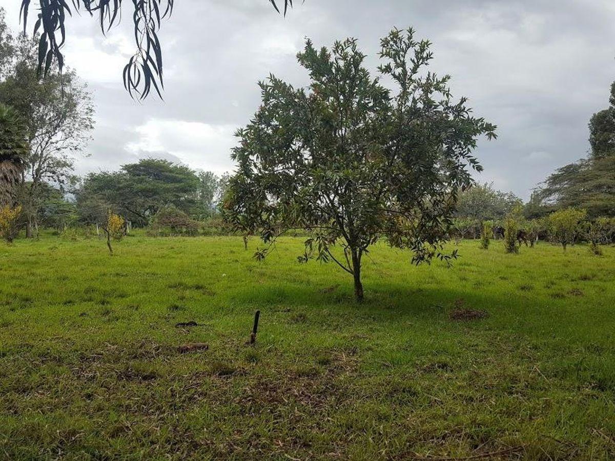 Venta Hermoso Terreno con Pequeña Casa en Yaruqui. con Pequeño Sembrio de Arándanos — imagen 2