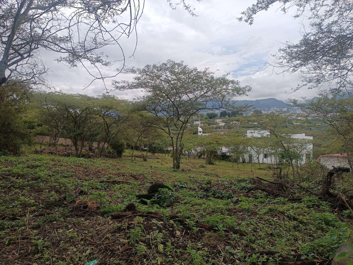 Vendo 2 Terrenos de 1250 m² en Urbanización en La Viña, Tumbaco — imagen 10
