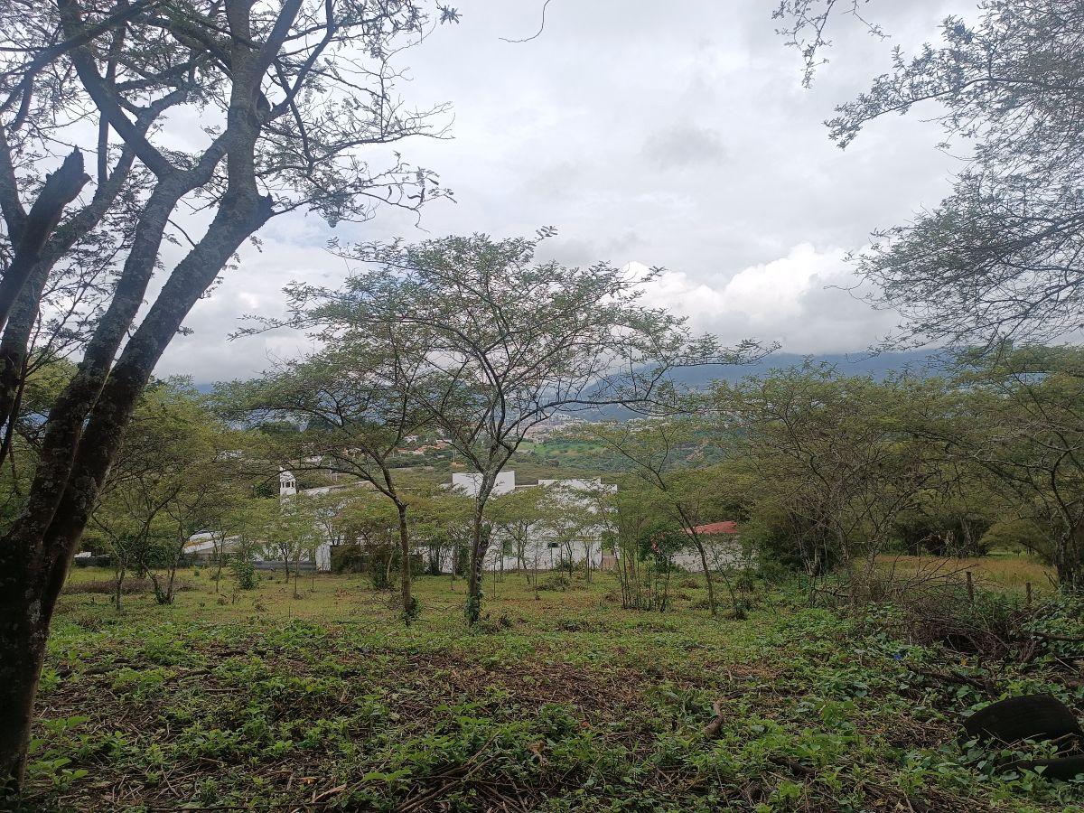 Vendo 2 Terrenos de 1250 m² en Urbanización en La Viña, Tumbaco — imagen 9