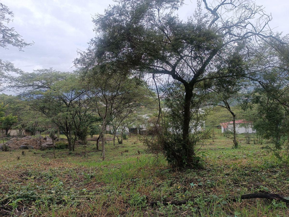 Vendo 2 Terrenos de 1250 m² en Urbanización en La Viña, Tumbaco — imagen 8