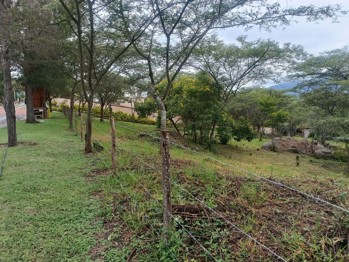 Vendo 2 Terrenos de 1250 m² en Urbanización en La Viña, Tumbaco — imagen 7