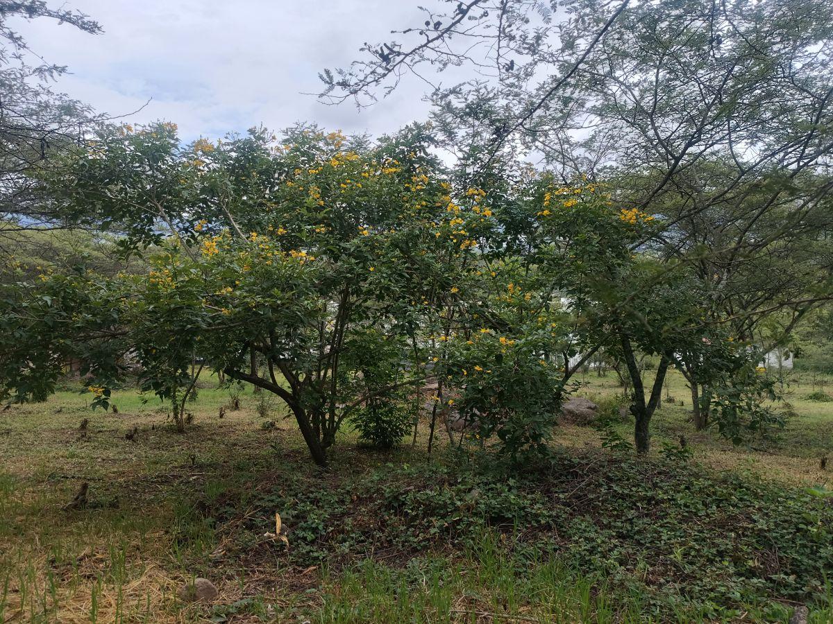 Vendo 2 Terrenos de 1250 m² en Urbanización en La Viña, Tumbaco — imagen 6