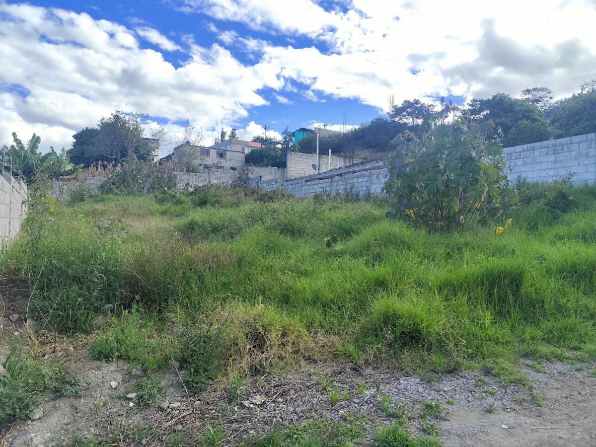 Terrenos en Venta en Cumbayá, Sector Lumbisí, San Francisco de Pinsha 360 m² y 390 m² — imagen 3