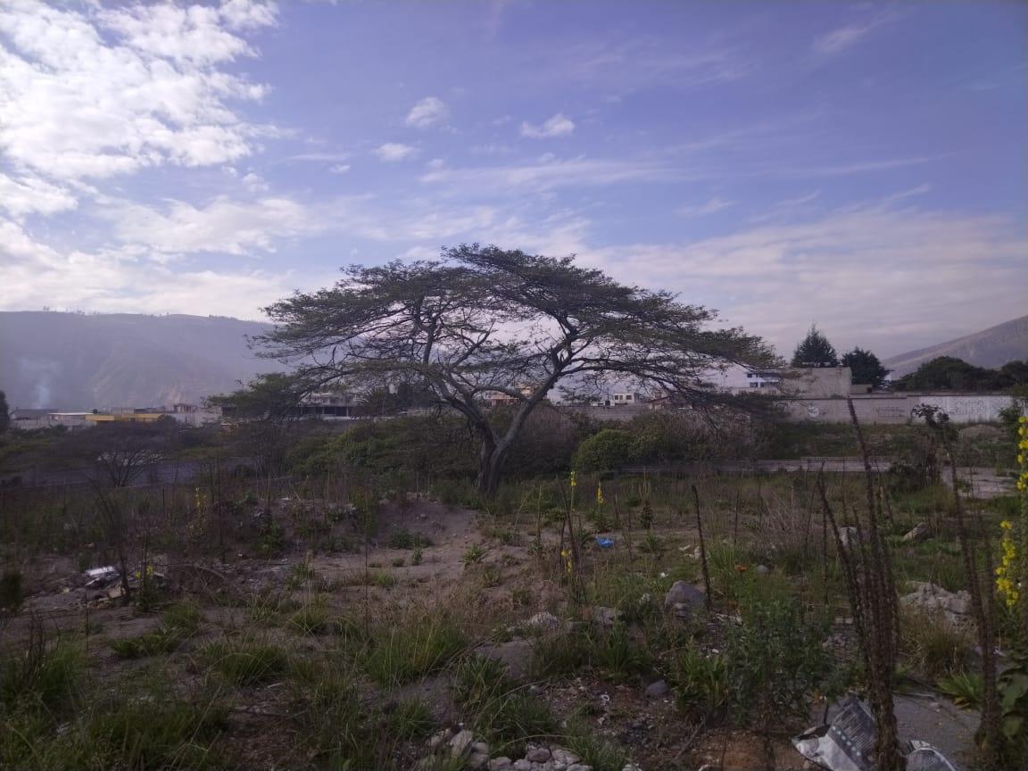 Terreno de Venta San Antonio de Pichincha — imagen 7