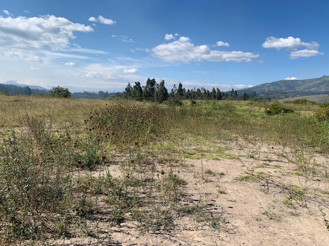 Vendo Terreno Industrial I3 2.5 Hac 117 m de Frente a La E35 $1.800.000,00 — imagen 10