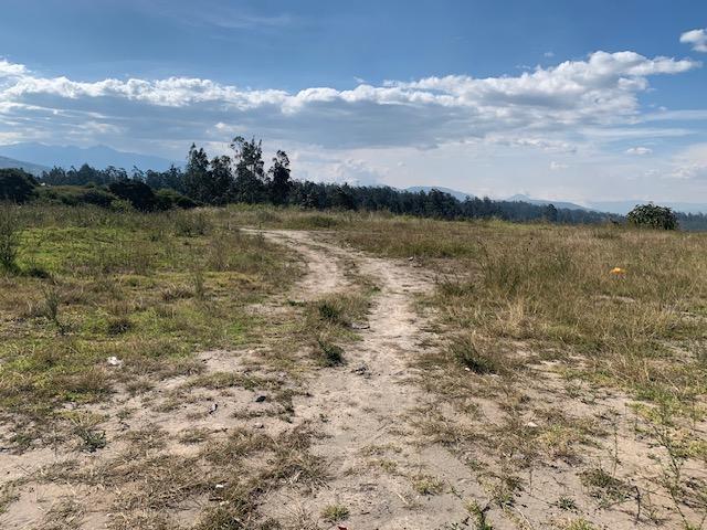 Vendo Terreno Industrial I3 2.5 Hac 117 m de Frente a La E35 $1.800.000,00 — imagen 9