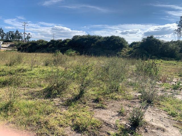 Vendo Terreno Industrial I3 2.5 Hac 117 m de Frente a La E35 $1.800.000,00 — imagen 8