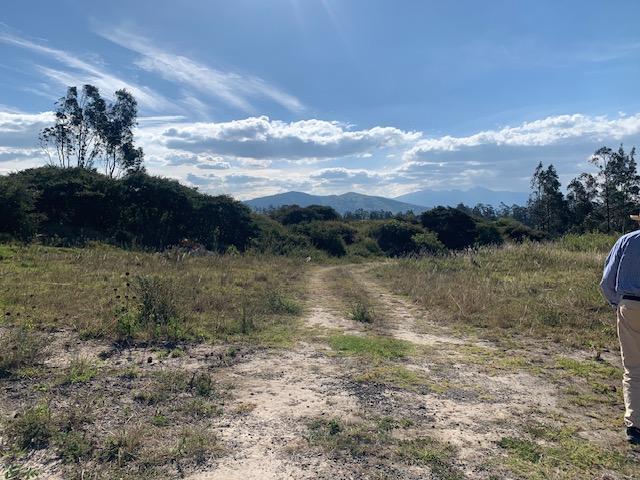 Vendo Terreno Industrial I3 2.5 Hac 117 m de Frente a La E35 $1.800.000,00 — imagen 7