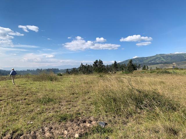 Vendo Terreno Industrial I3 2.5 Hac 117 m de Frente a La E35 $1.800.000,00 — imagen 6