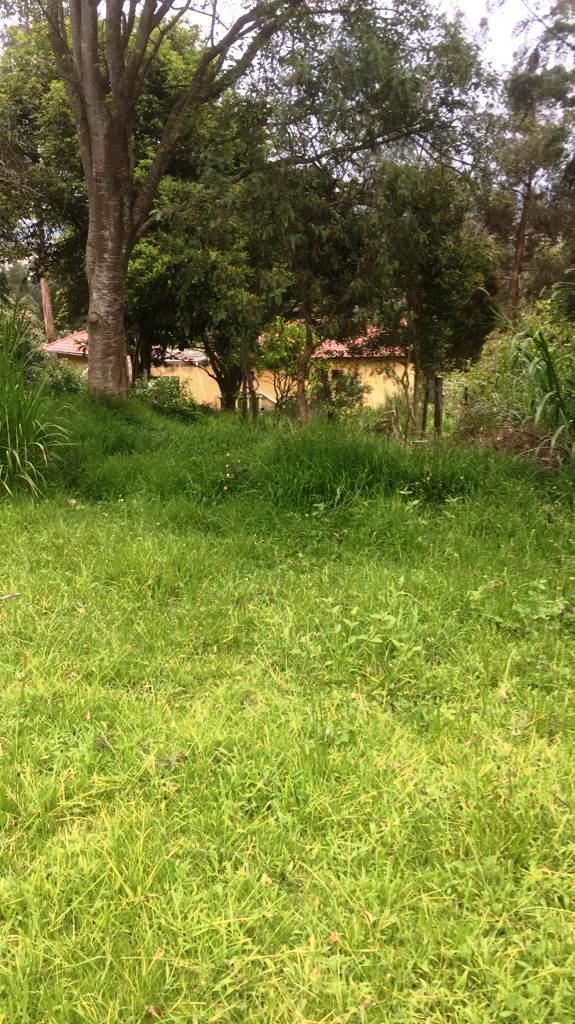 Amplio Terreno de 1000 m² en Venta en Tumbaco Chiviquí — imagen 10