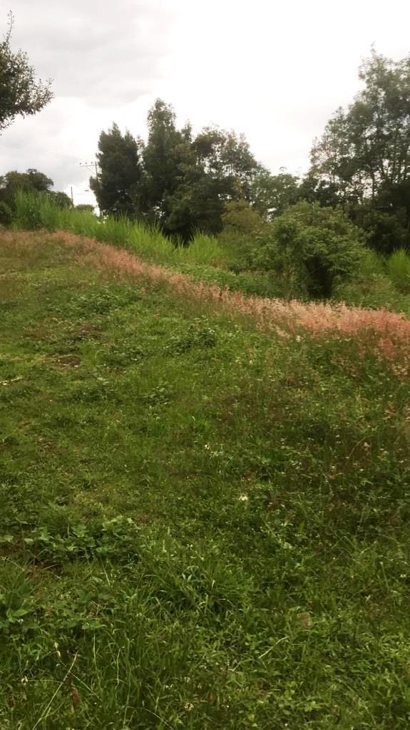 Amplio Terreno de 1000 m² en Venta en Tumbaco Chiviquí — imagen 9