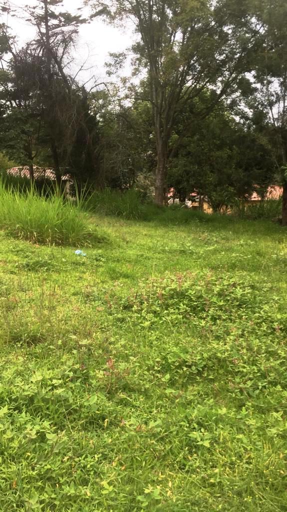 Amplio Terreno de 1000 m² en Venta en Tumbaco Chiviquí — imagen 8