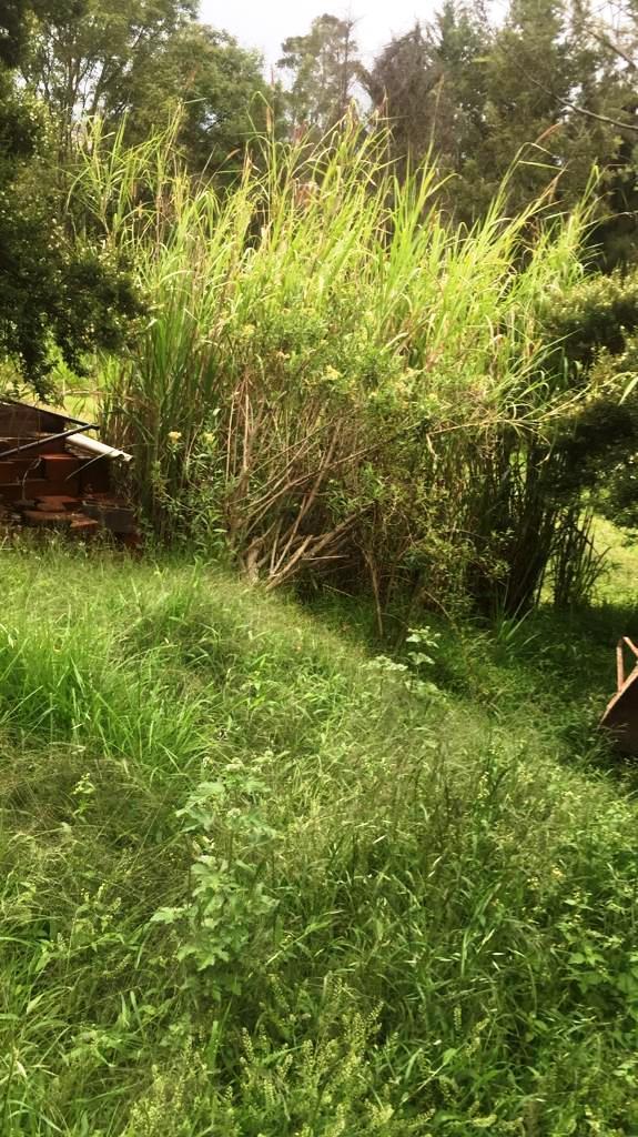 Amplio Terreno de 1000 m² en Venta en Tumbaco Chiviquí — imagen 7