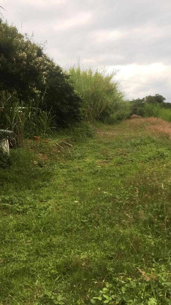 Amplio Terreno de 1000 m² en Venta en Tumbaco Chiviquí — imagen 6
