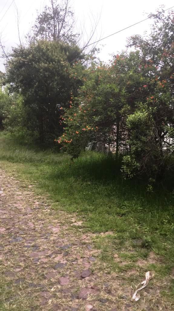Amplio Terreno de 1000 m² en Venta en Tumbaco Chiviquí — imagen 4