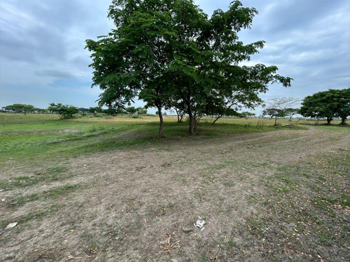 Terreno en Venta Via Al Pan 20,000 m², Guayas — imagen 6