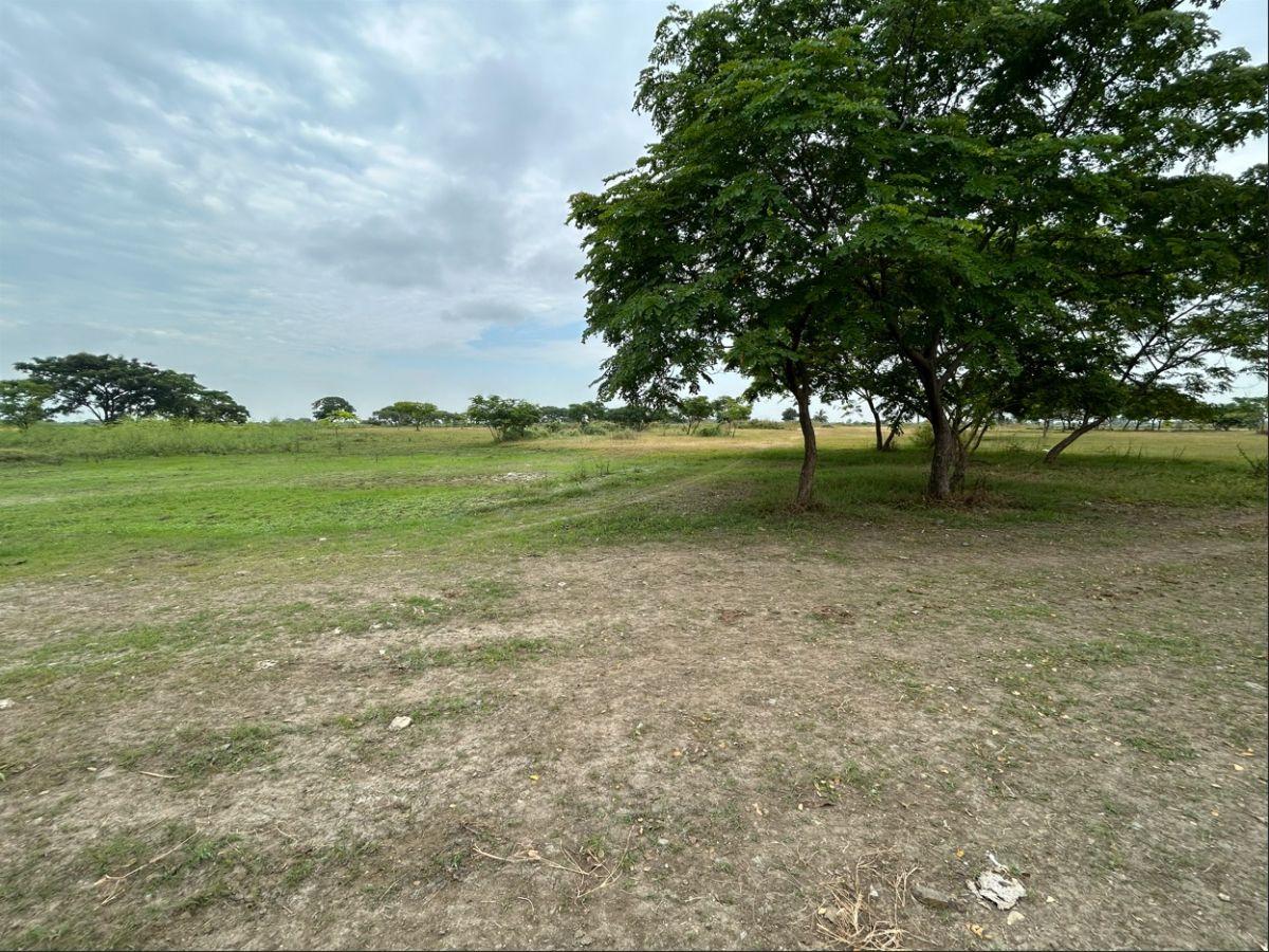 Terreno en Venta Via Al Pan 20,000 m², Guayas — imagen 5