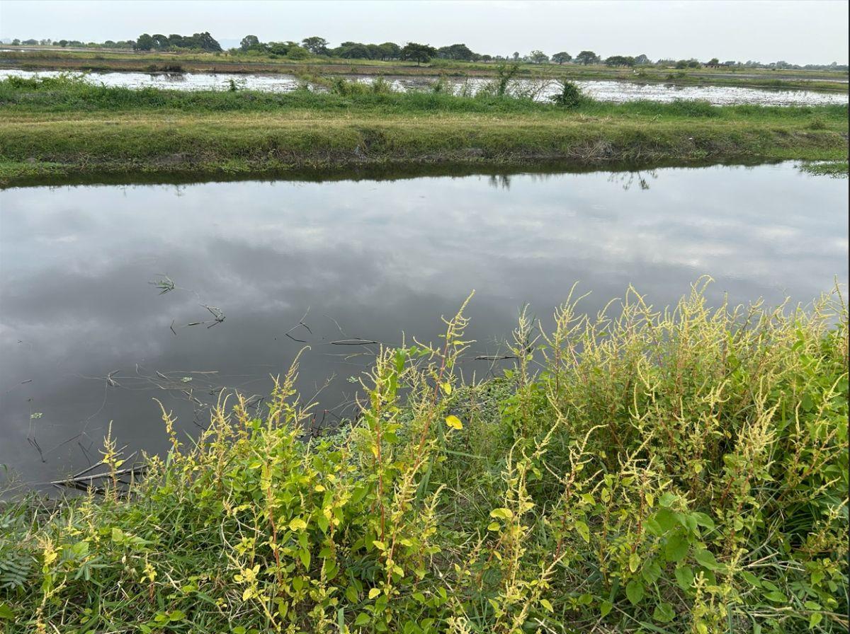 Terreno en Venta Via Al Pan 20,000 m², Guayas — imagen 3