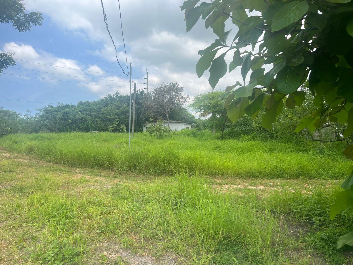 Venta 385.000 m² (38.5 Has) Samborondón, Sector Barranca - La Puntilla, Guayas — imagen 7