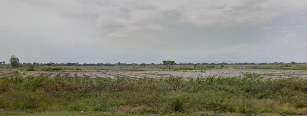 Venta 385.000 m² (38.5 Has) Samborondón, Sector Barranca - La Puntilla, Guayas — imagen 6