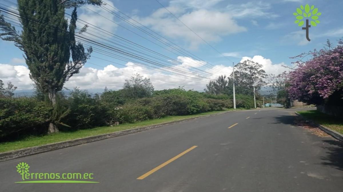 Terreno de Venta de 6.800 m² en Centro de Tababela — imagen 8