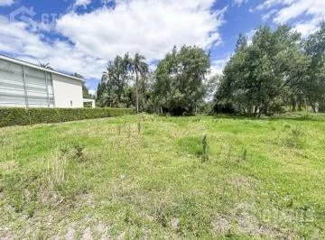 Vendo Hermoso Terreno de 500 m² en Sector Exclusivo Santa Rosa de Lima — imagen 5