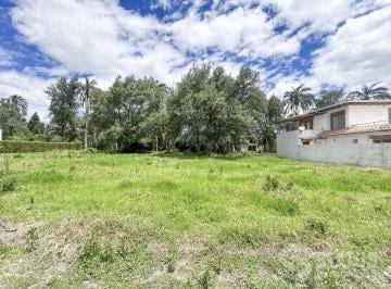 Vendo Hermoso Terreno de 500 m² en Sector Exclusivo Santa Rosa de Lima — imagen 4