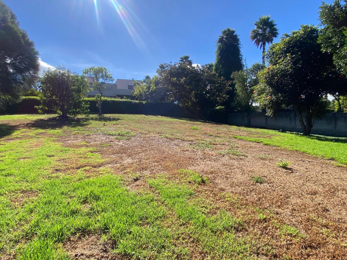 Cumbaya - La Vieja Hacienda. Lote de Oportunidad 1.065 m² X $430 X M1 — imagen 2