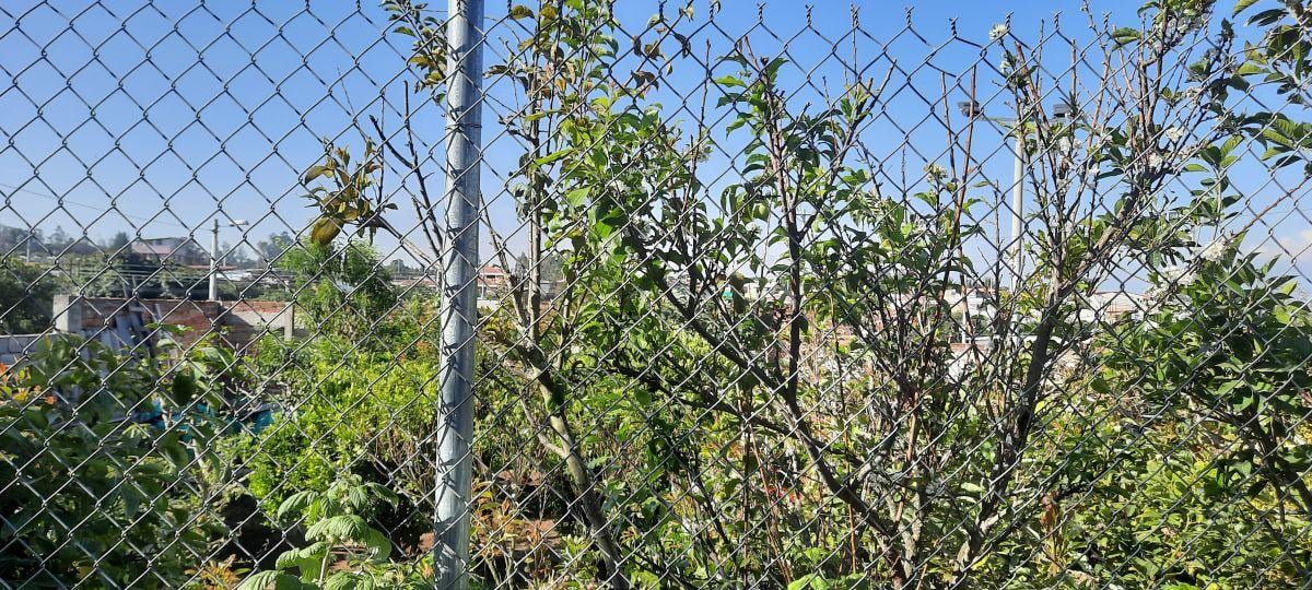 Vendo Terreno de 600 m en Urbanización en Yaruqui — imagen 5