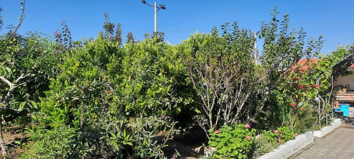 Vendo Terreno de 600 m en Urbanización en Yaruqui — imagen 4