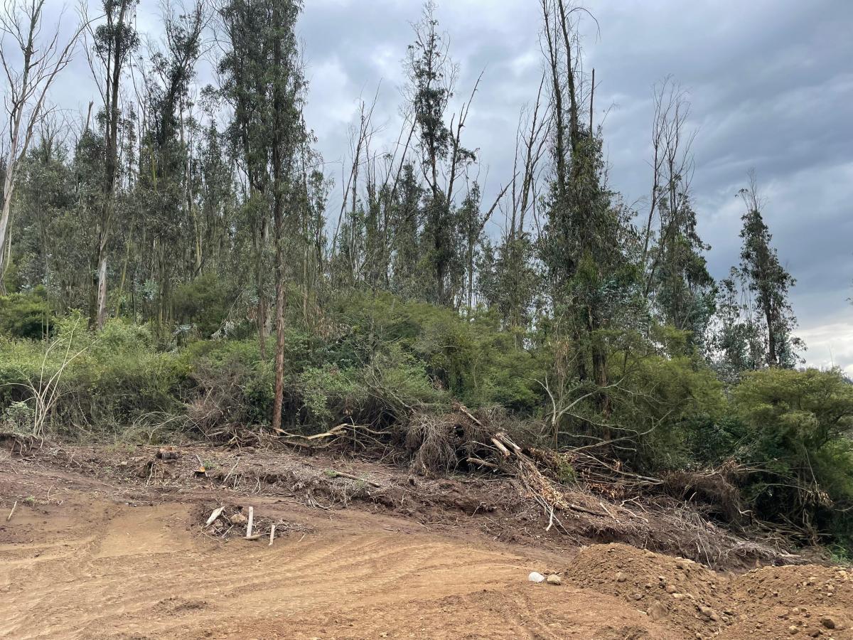 Vendo Lote de Terreno en El Ilalo — imagen 7