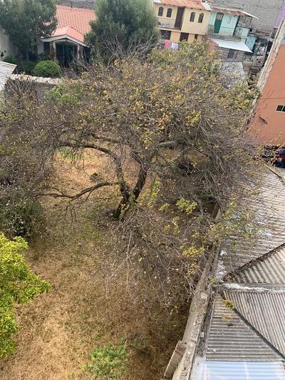 Terreno en Venta, Riobamba, Plano, Multifuncional, Chimborazo — imagen 8