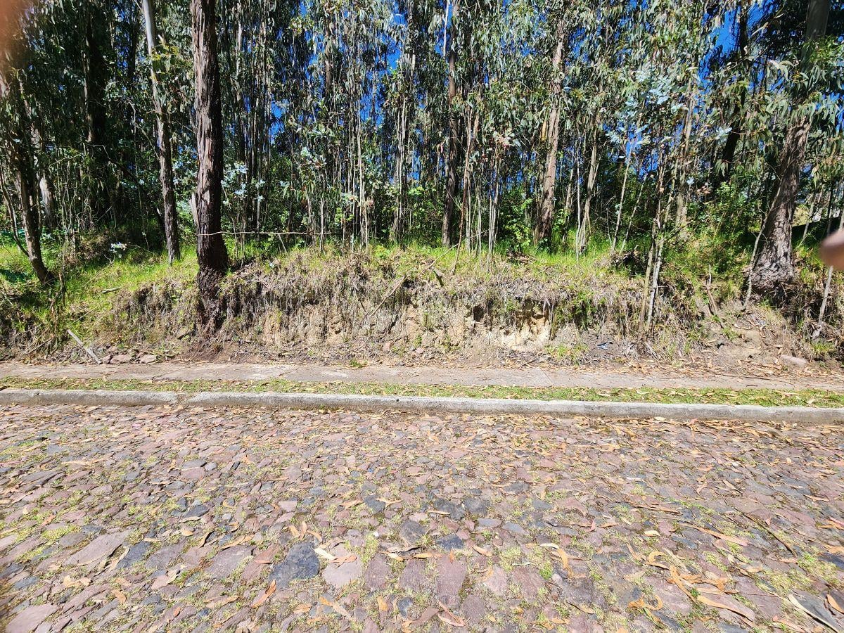 Vendo Bonito Terreno Inclinado 599 m Sector Conocoto en Urbanizacion — imagen 3