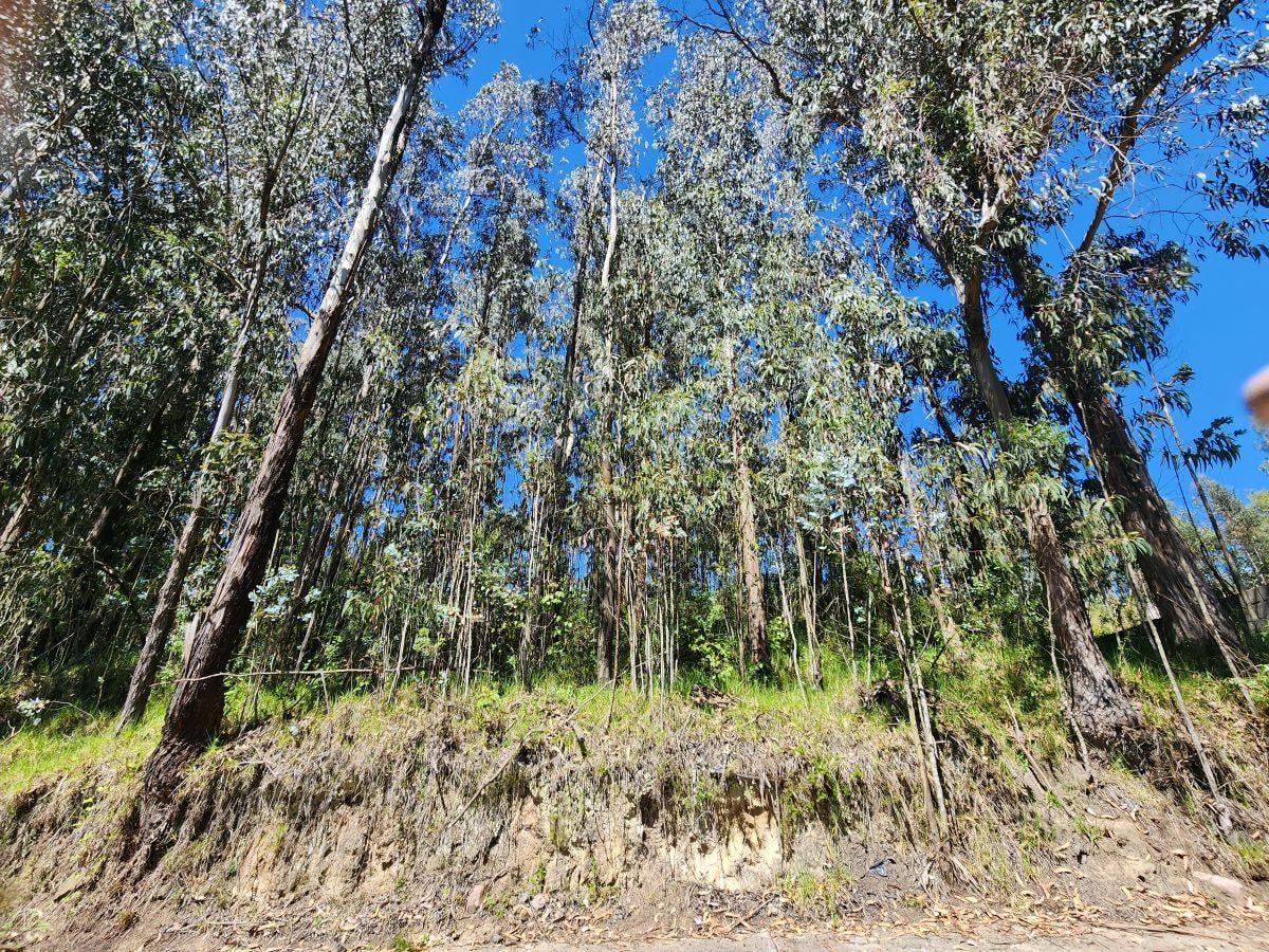 Vendo Bonito Terreno Inclinado 599 m Sector Conocoto en Urbanizacion — imagen 2
