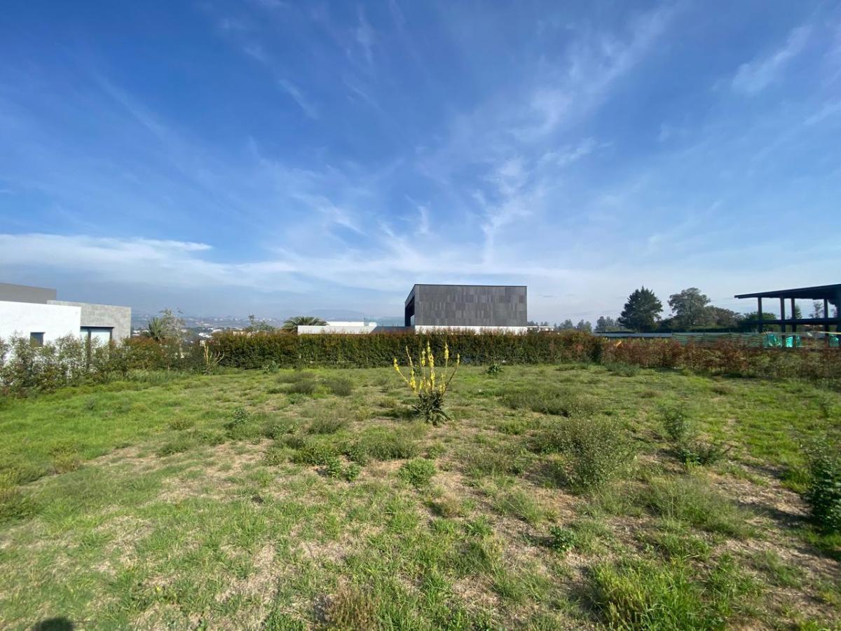 Terreno de Venta en Puembo Dentro de Urbanización Cerrada. Cancha de Padel, Gym, Juegos Infantiles — imagen 6