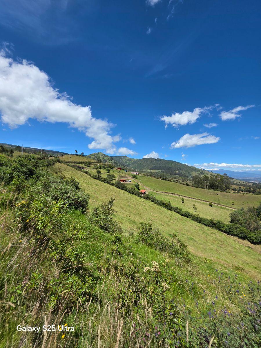 Terreno de Venta 1121 m² Entre Yaruqui y Checa — imagen 6