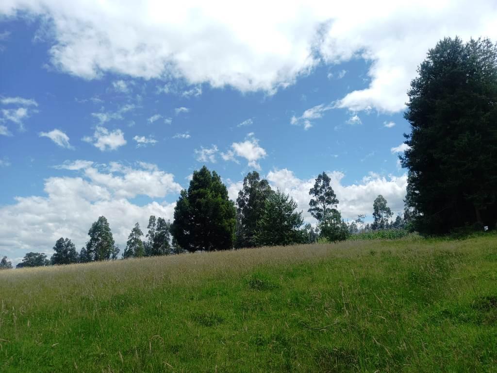 Terreno en Venta 20.597 m² Amaguaña - Cotogchoa — imagen 9