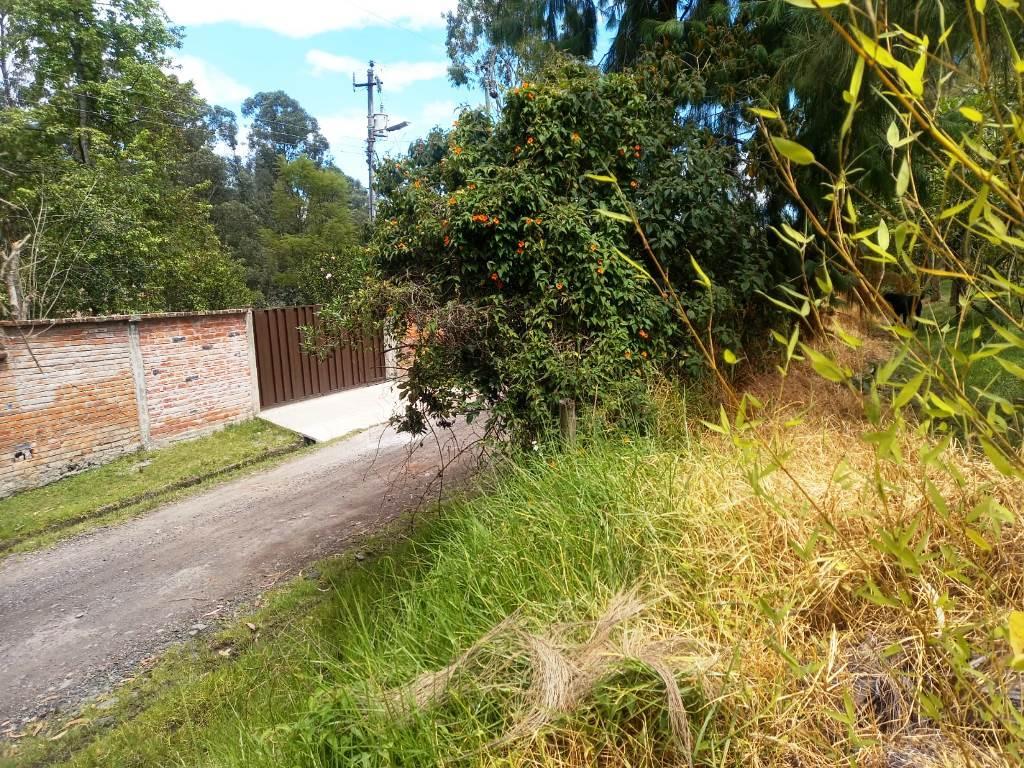 Terreno en Venta 20.597 m² Amaguaña - Cotogchoa — imagen 8