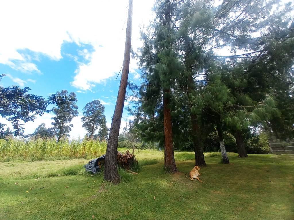 Terreno en Venta 20.597 m² Amaguaña - Cotogchoa — imagen 7