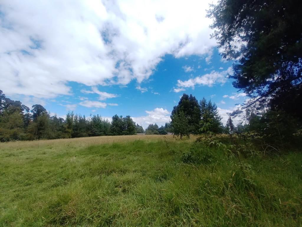 Terreno en Venta 20.597 m² Amaguaña - Cotogchoa — imagen 6