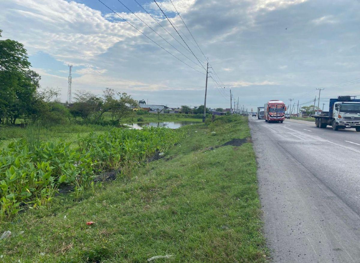 Venta de 32 Has Via Duran - Yaguachi, Km. 14.5, Al Pie de La Vía con 400 m, Guayas — imagen 4