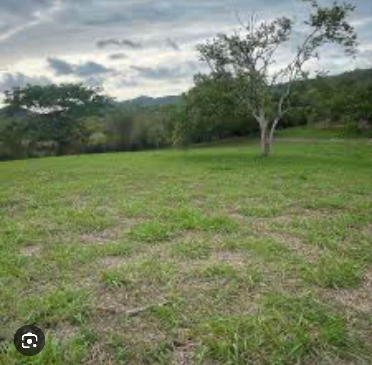Venta de 32 Has Via Duran - Yaguachi, Km. 14.5, Al Pie de La Vía con 400 m, Guayas — imagen 2